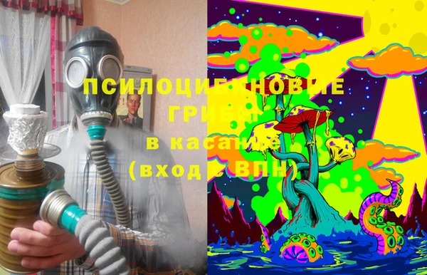 прущая мука Белокуриха