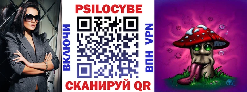 где купить наркотик  Волхов  Псилоцибиновые грибы ЛСД 